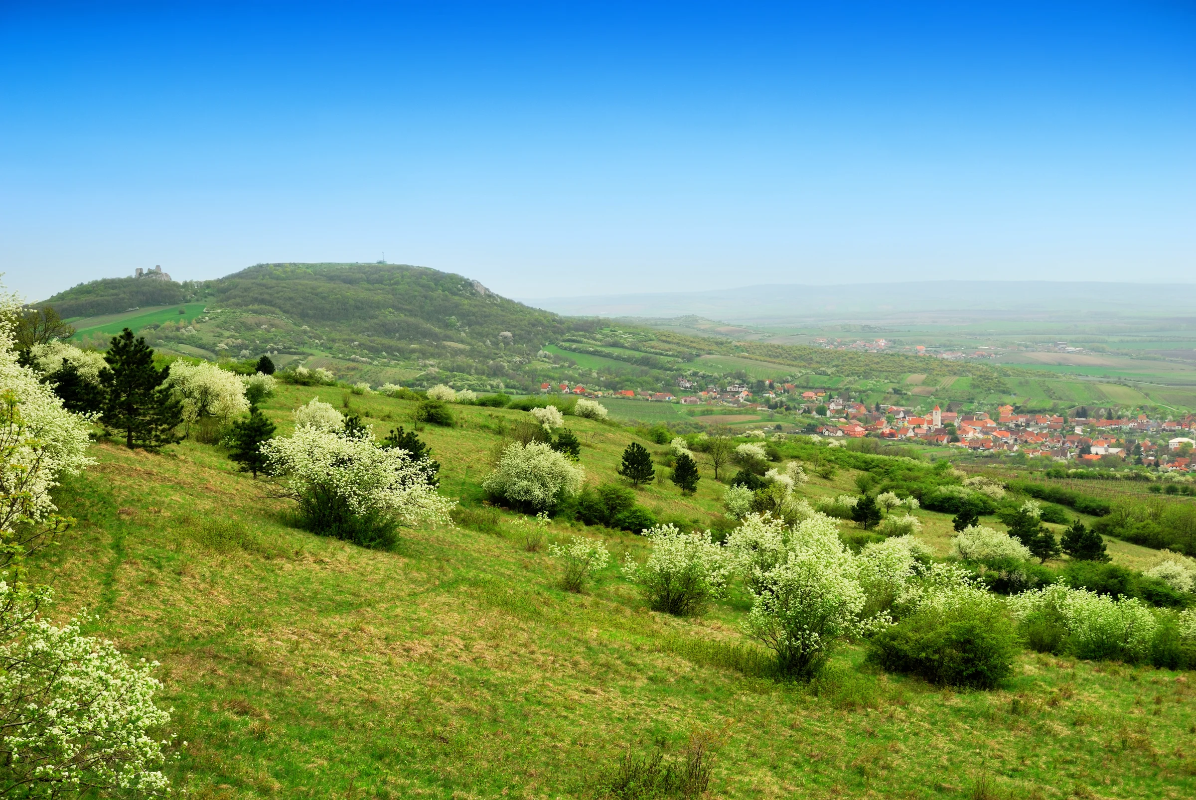 Jarní Perná a rozkvetlé svahy pod Pálavou