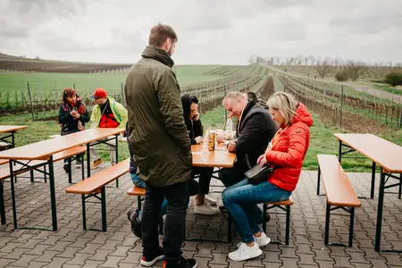 Otevřené sklepy Perná 2019 — fotografie 14