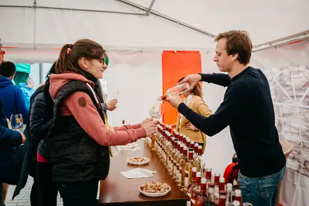 Otevřené sklepy Perná 2019 — fotografie 31