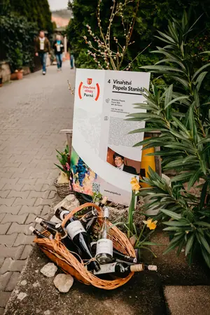 Otevřené sklepy Perná 2019 — fotografie 50