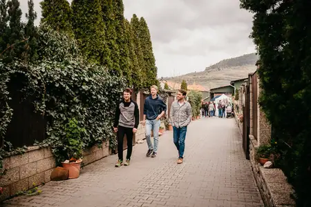 Otevřené sklepy Perná 2019 — fotografie 51