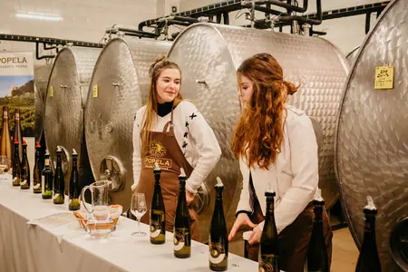 Otevřené sklepy Perná 2019 — fotografie 60