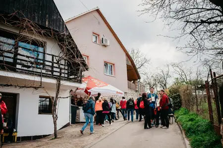 Otevřené sklepy Perná 2019 — fotografie 97