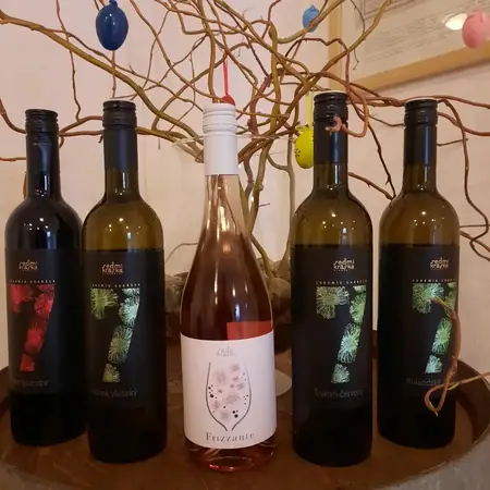 Vinařství  Sedmikráska — fotografie 3