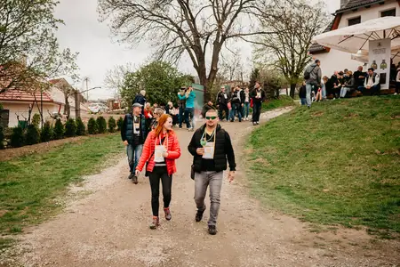 Otevřené sklepy Perná 2019 — fotografie 103