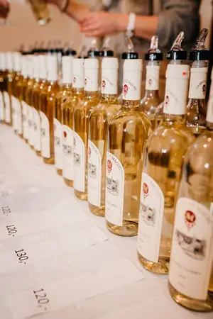Otevřené sklepy Perná 2019 — fotografie 194