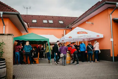 Otevřené sklepy Perná 2019 — fotografie 213