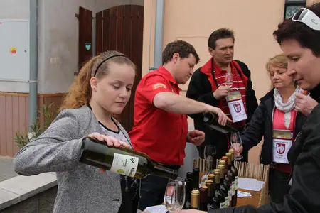 Otevřené sklepy Perná 2014 — fotografie 25