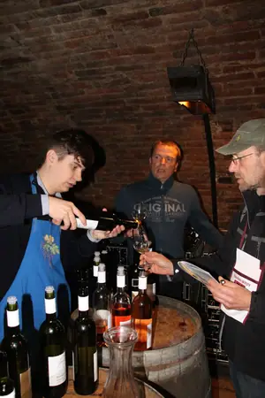 Otevřené sklepy Perná 2014 — fotografie 56