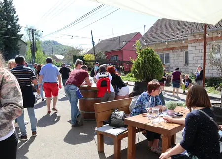 Otevřené sklepy Perná 2024 — fotografie 25