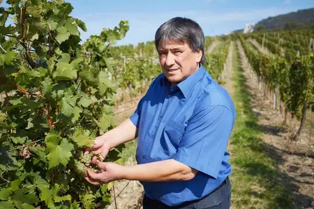 Vinařství Popela Stanislav — fotografie 2