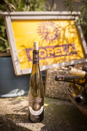 Otevřené sklepy Perná 2018 — fotografie 20