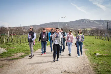 Otevřené sklepy Perná 2018 — fotografie 119